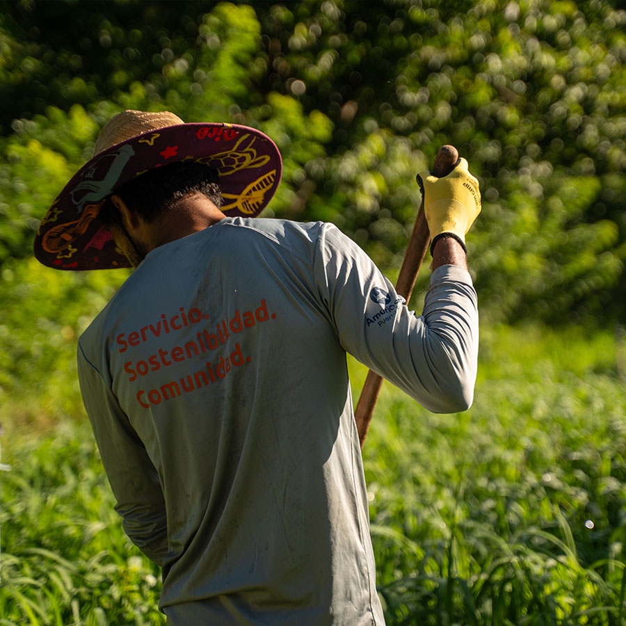 trabajador de agricultura